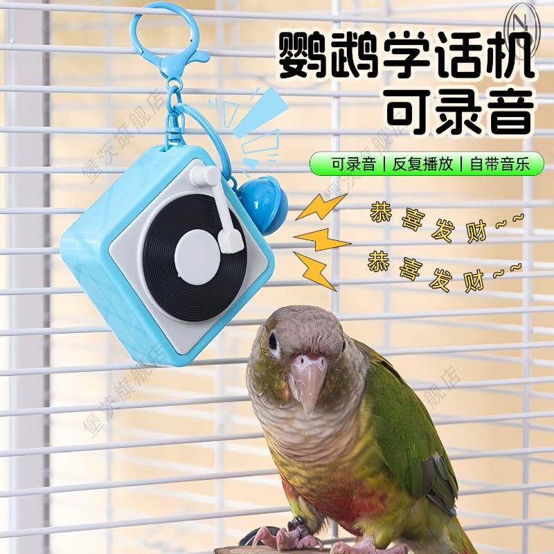 虎皮鹦鹉学说话神器小太阳八哥玄鸟训练学舌叫声复读机小喇叭教具