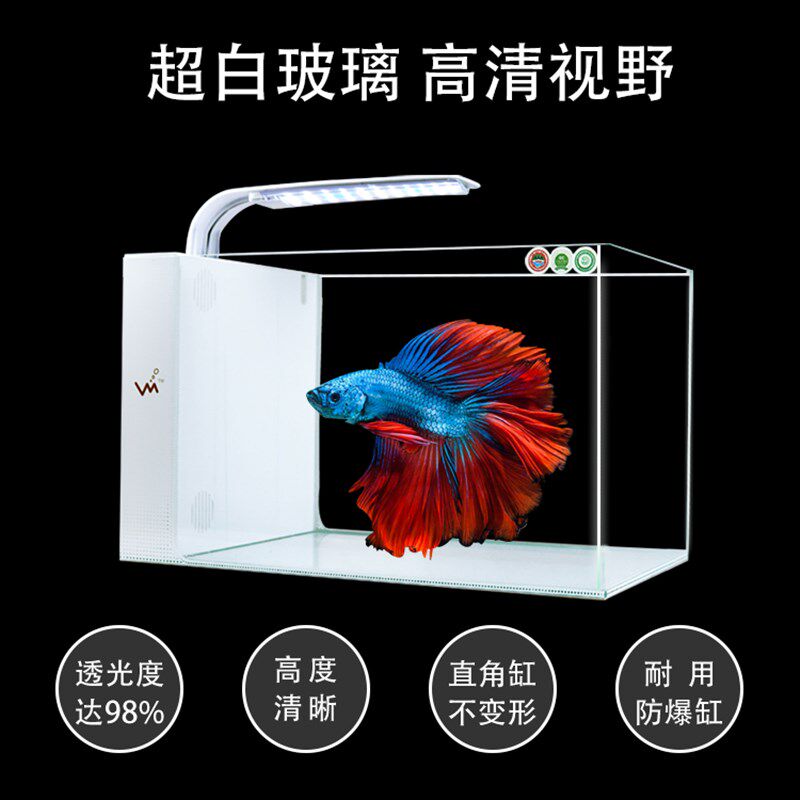 客厅家用超白玻璃桌面生态免换水鱼缸卧室小型侧滤创意休闲水族箱