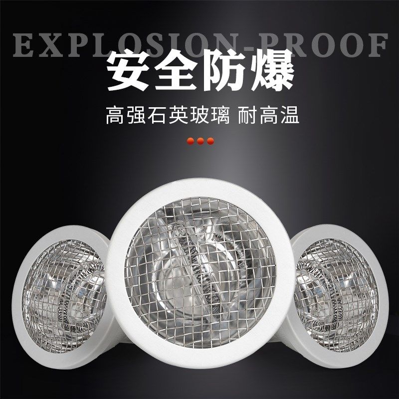 爬宠碳纤维远红外加热灯泡乌龟加温爬虫蜥蜴鹦鹉鸟陶瓷取暖烤夜灯