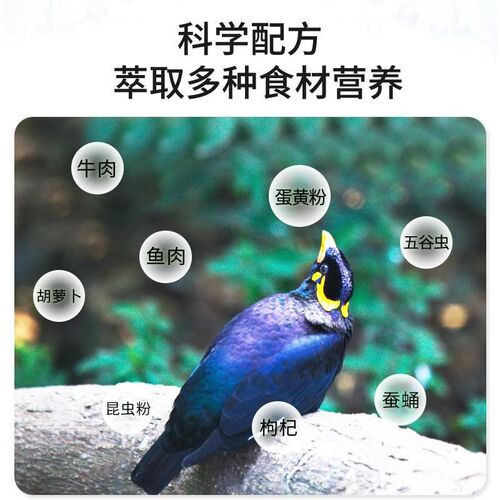 开元盖帝尔鹩哥专用鸟饲料八哥鸟食鸟粮助毛靓丽羽毛营养鸟食饲料