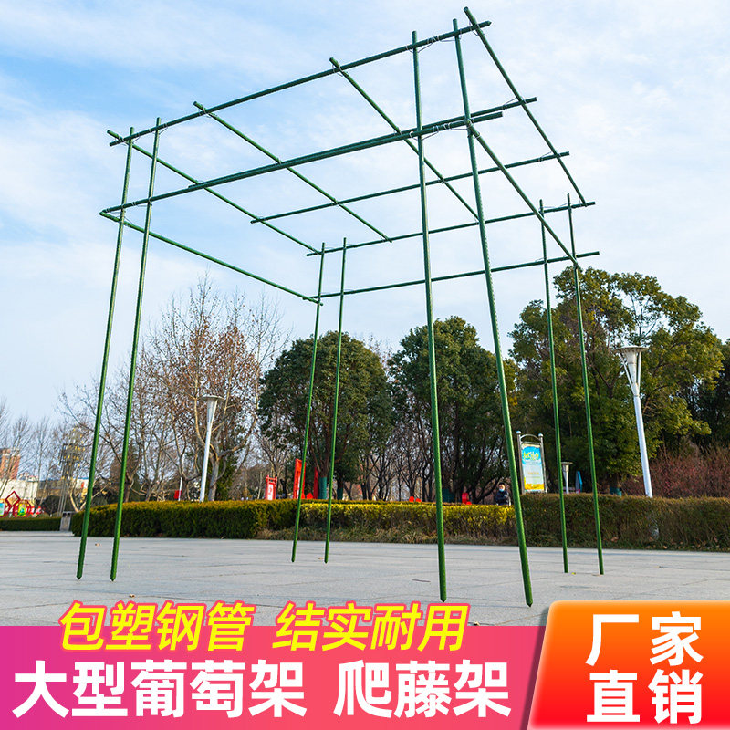 葡萄爬藤架庭院室外楼顶大型植物支撑架铁艺包塑钢管免费设计定制