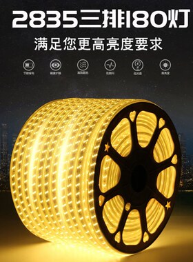 LED灯带条家用2835超亮防水装饰浪漫创意5730三色变色220V软线灯