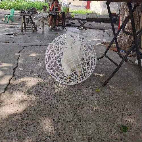 走地鸡笼子可滚动塑料跑笼走动觅食鸡笼球形兔笼儿童养小动物圆形
