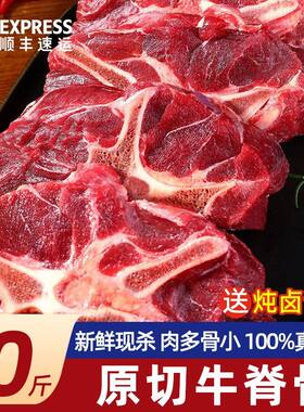 满肉牛脖骨进口新鲜带肉商用冷冻牛蝎子新鲜脊骨火锅烧烤食材带骨