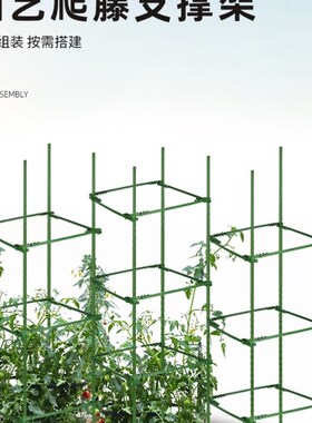 瓜架爬藤架农用种植箱爬架阳台植物种菜搭架子杆南瓜蔬菜商用户外