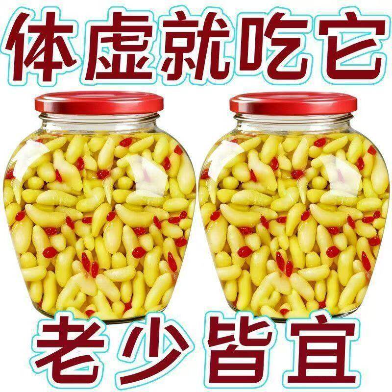 2罐特价】正宗枸杞姜芽山东新鲜嫩姜仔新货酸甜即食下酒新品批发
