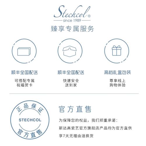 斯达高Stechcol 陶瓷马克杯对杯情侣男女水杯盖茶漏生日礼物