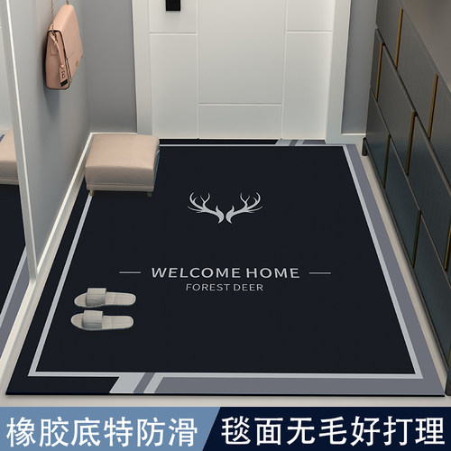 轻奢入户门地垫门垫进门可裁剪定制家用玄关防滑脚垫门口耐脏地毯