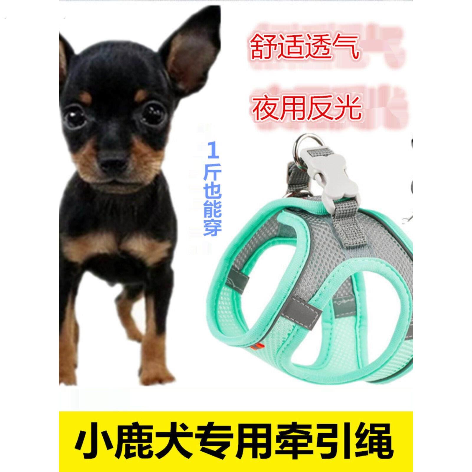 小鹿犬专用1斤牵引绳吉娃娃透气结实背心式狗绳小型犬狗狗用品幼