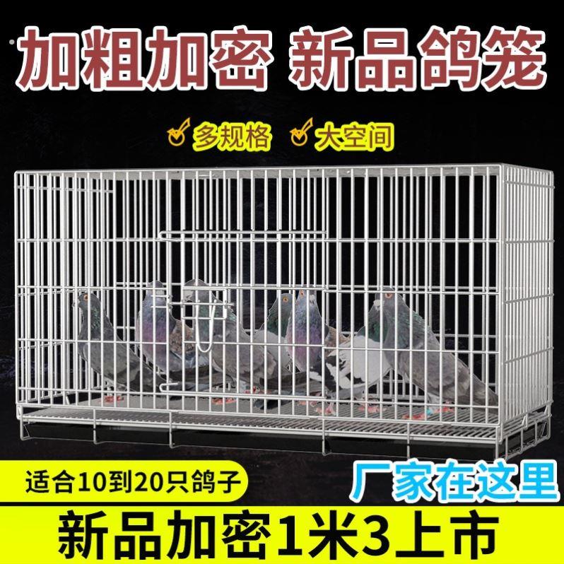 加粗鸽子笼养殖笼大室外二层鸟笼大全大空间鸽子笼子特大专用图片