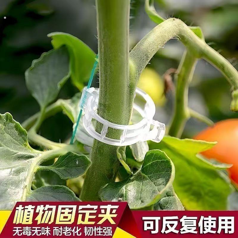 黄瓜番茄豆角爬藤枝条固定器绿植蔬菜捆绑扎带藤蔓专用园林工具