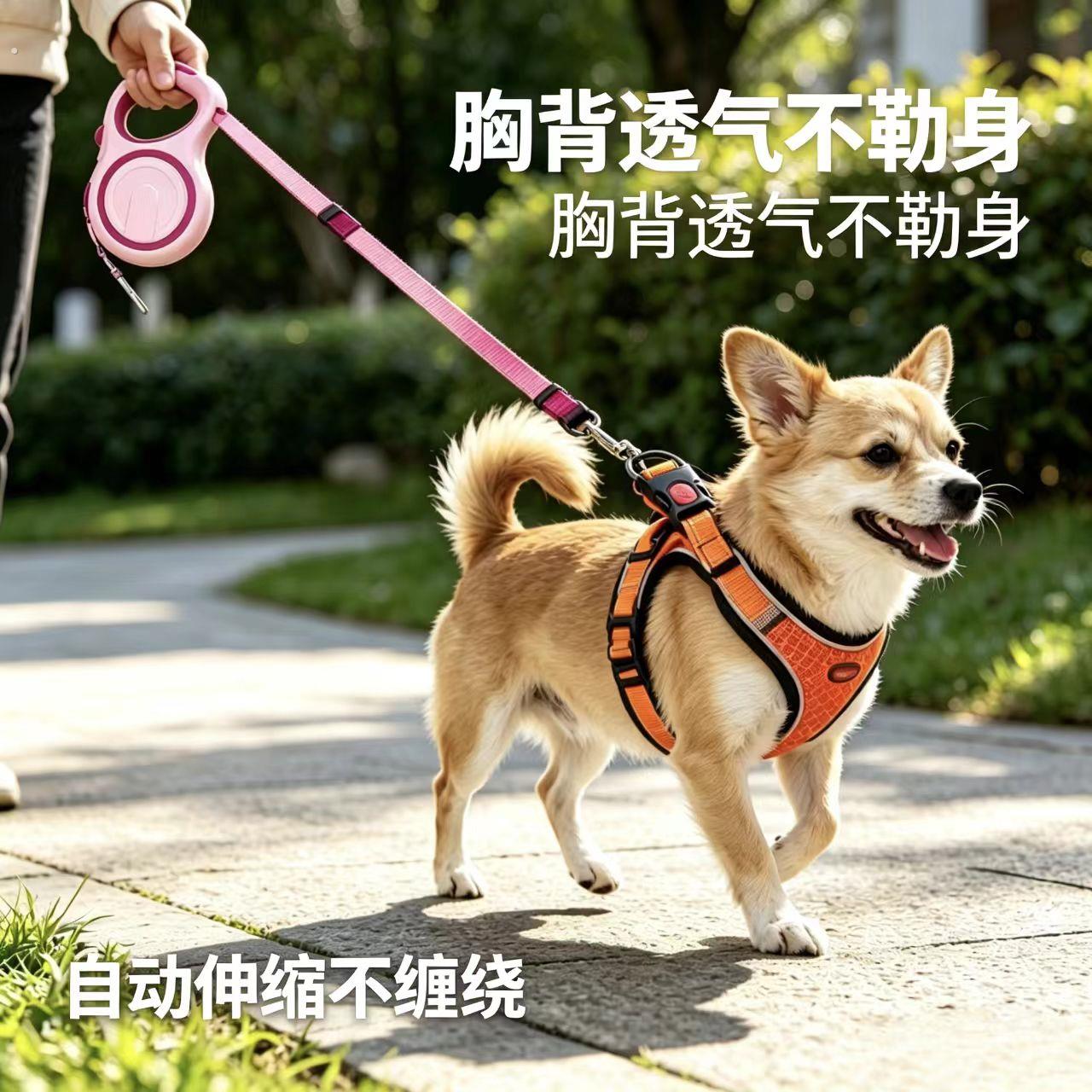 宠物项圈脖圈脖套遛狗自动牵引绳子狗炼颈圈宠物牵引绳