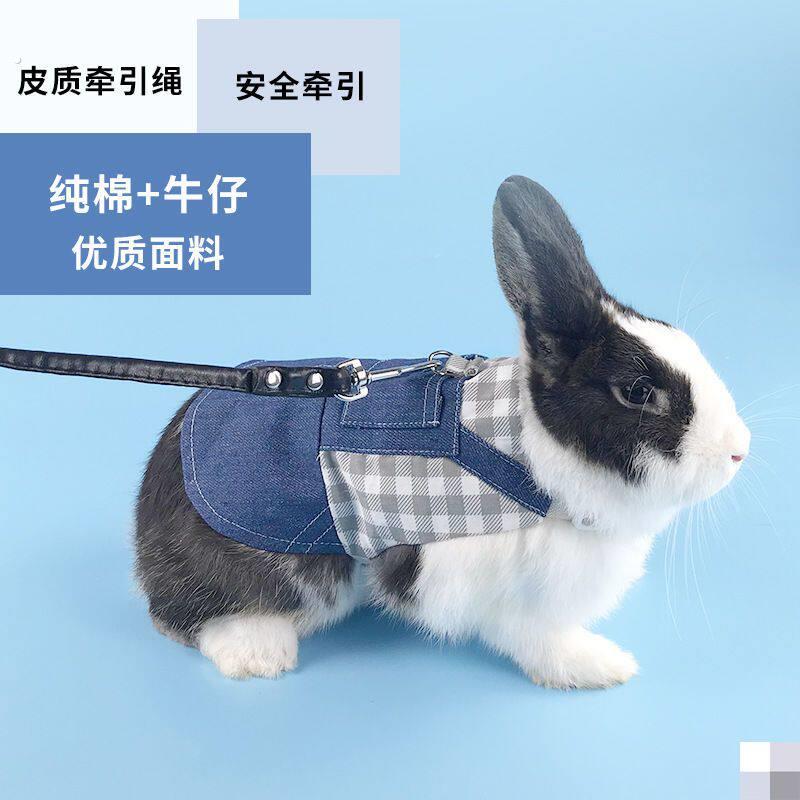 垂耳兔子衣服兔子衣服带牵引绳可爱牛仔服侏儒兔兔宠物幼兔垂耳兔