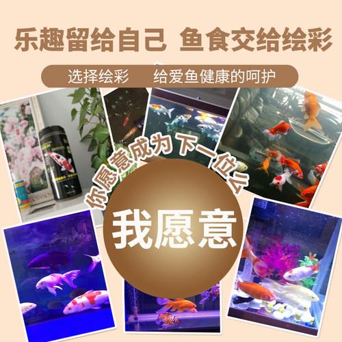 绘彩锦鲤饲料鱼食不浑水色扬螺旋藻增色增体 蝴蝶鲤金鱼专用鱼粮