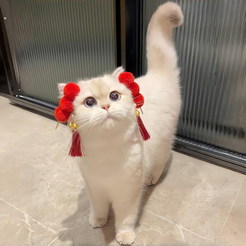 猫猫新年衣服新年战袍宠物猫咪糖葫芦头饰品装扮过年元旦春节2025