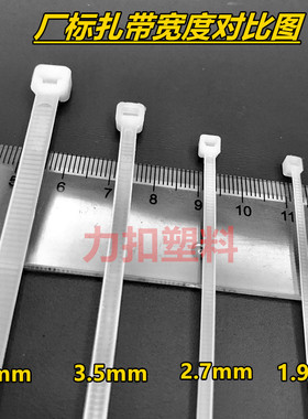3*200mm自锁式尼龙扎带塑料小扎线固定封扣条捆绑束线带白色黑色