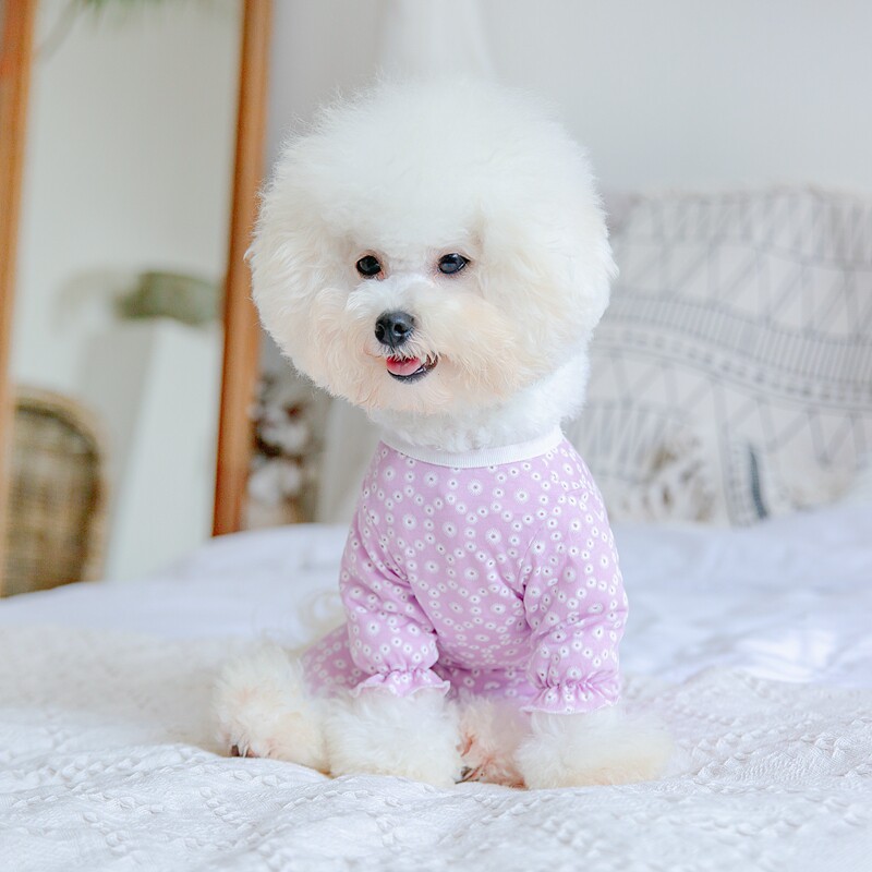 狗狗夏天薄款四脚裤包肚子泰迪衣服公主风比熊春夏装加长裤腿防尘