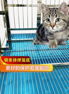 不锈钢分层双层宠物店寄养繁殖狗笼子犬舍医院折叠加粗厚玻璃定做