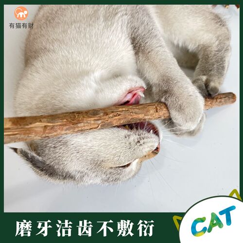 猫咪木天蓼磨牙棒超长猫咪零食猫薄荷玩具自嗨解闷神奇逗猫棒耐咬