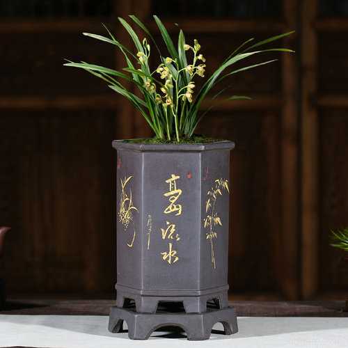 宜兴紫砂花盆兰花盆室内盆栽绿植六方君子兰花草专用盆带托盘花盆