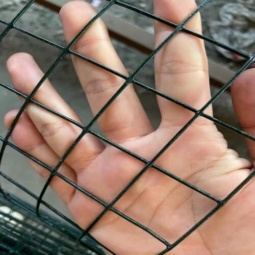 甄选PVC电焊网卷养殖用小孔浸塑电焊网绿色铁丝网圈地围网可定制
