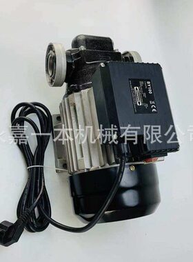 甄选柴油泵加油 YB100-加油泵  BY100加油泵自吸静音抽油抽油泵