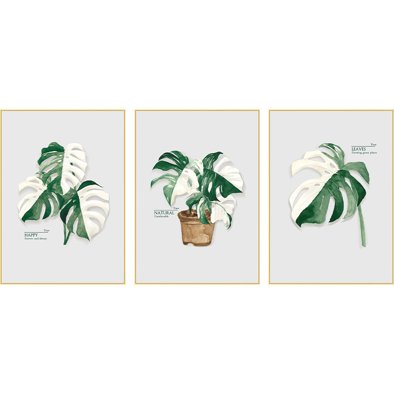 起贝 北欧风客厅白锦龟背竹装饰画植物树叶挂画餐厅小清新绿植画