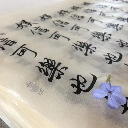 九眼 以雪 纯手工竹纸 楷隶篆行草专用纸