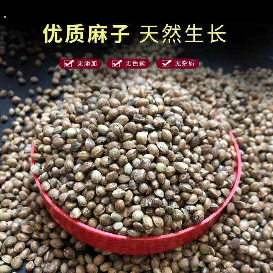 火麻籽麻子火麻仁鹦鹉鸟粮鸽粮饲料仓鼠松鼠粮25年新货大中小颗粒