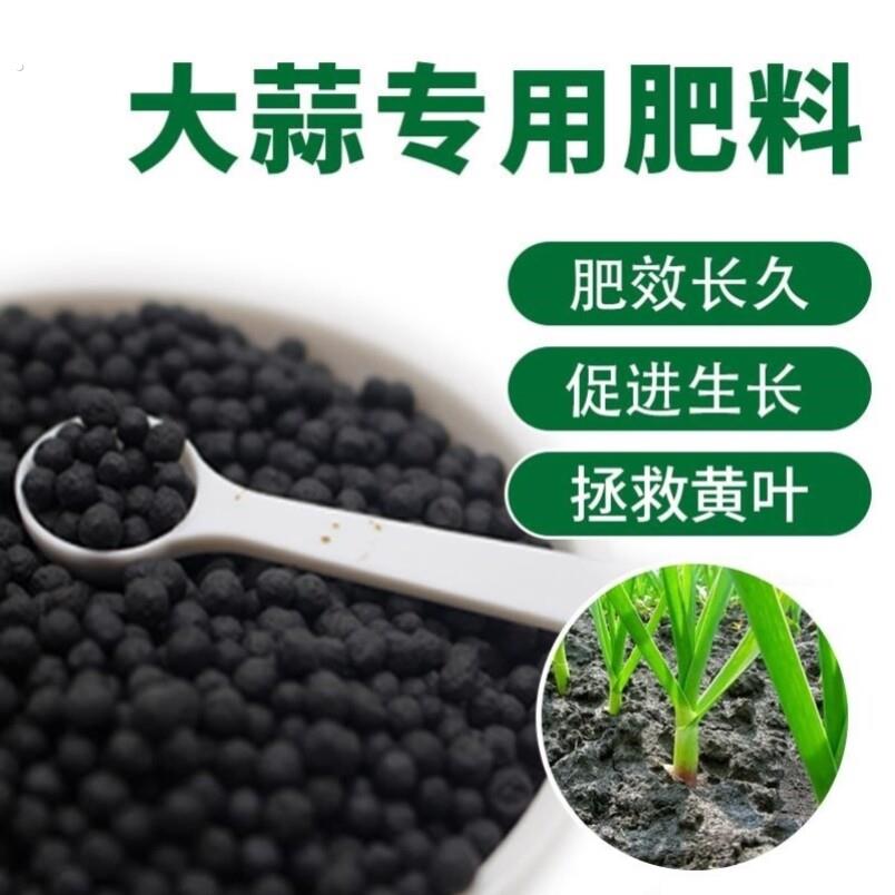 大蒜专用肥菜地肥料瓜果肥种植肥家庭不烧根不烧苗大蒜专用土室内
