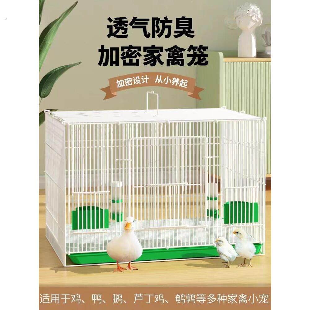铁笼子鸽子笼绣眼笼铁艺八哥养殖笼家用鸟笼繁殖笼大号豪华鹦鹉笼