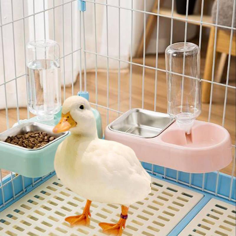 柯尔鸭喂食器自动饮水器小鸭子小鸡食盆碗饲料盒喂宠物芦丁鸡水壶