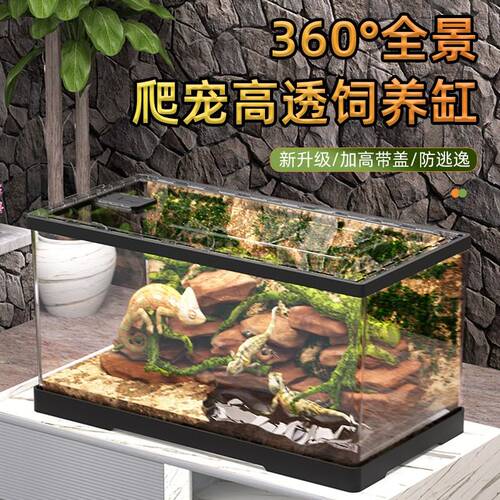 ZUIMENG/萌爬宠饲养箱角蛙蛇蜘蛛蜥蜴守宫造景亚克力爬虫饲养盒