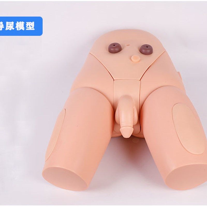 高级男女性导尿模型灌肠模型医学用导尿术操作模特下半身护理人体
