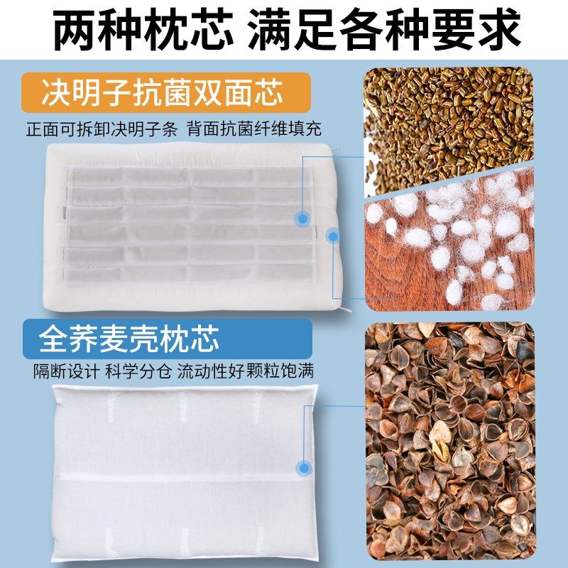 双漫恐龙款枕大人女孩可爱荞麦枕头学生枕芯荞麦皮枕头护颈椎助眠
