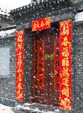 春节春联新年过年装饰特大别墅大门绒布高档门联2022虎年对联4米5