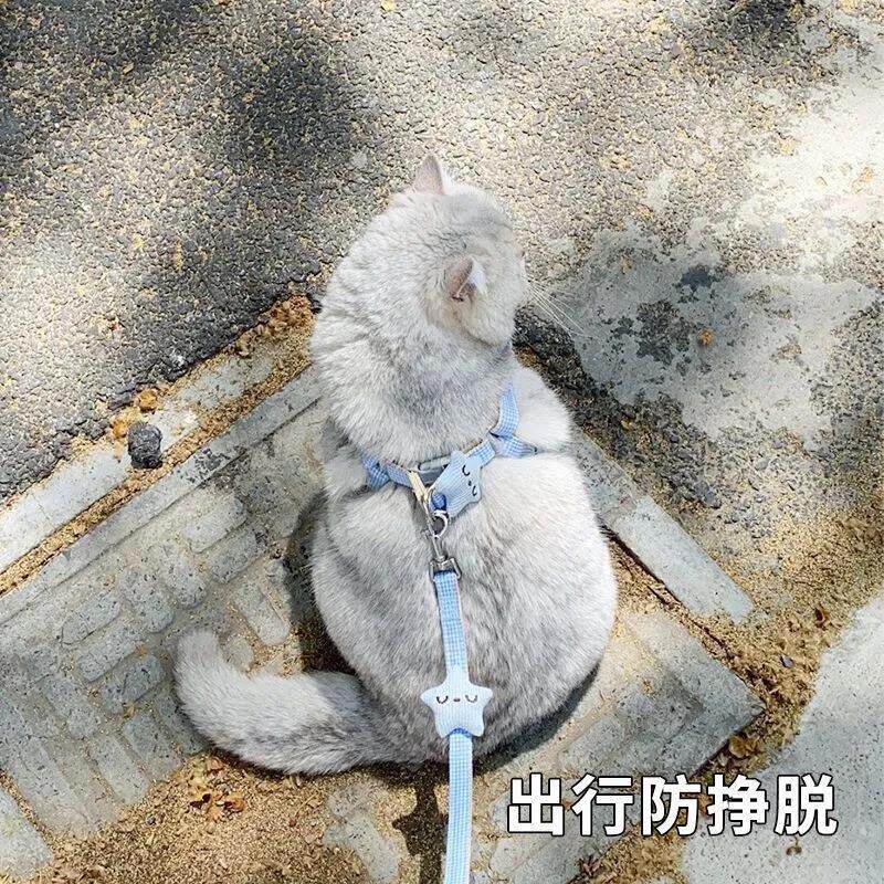 猫咪狗狗牵引绳牵引调节挣脱绳子背心专用可爱外出背带宠物用品