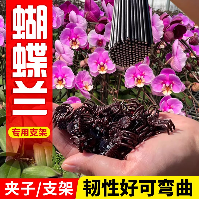 蝴蝶兰支架夹子支撑杆专用固定造型植物通用支撑花架子室内外花卉图片