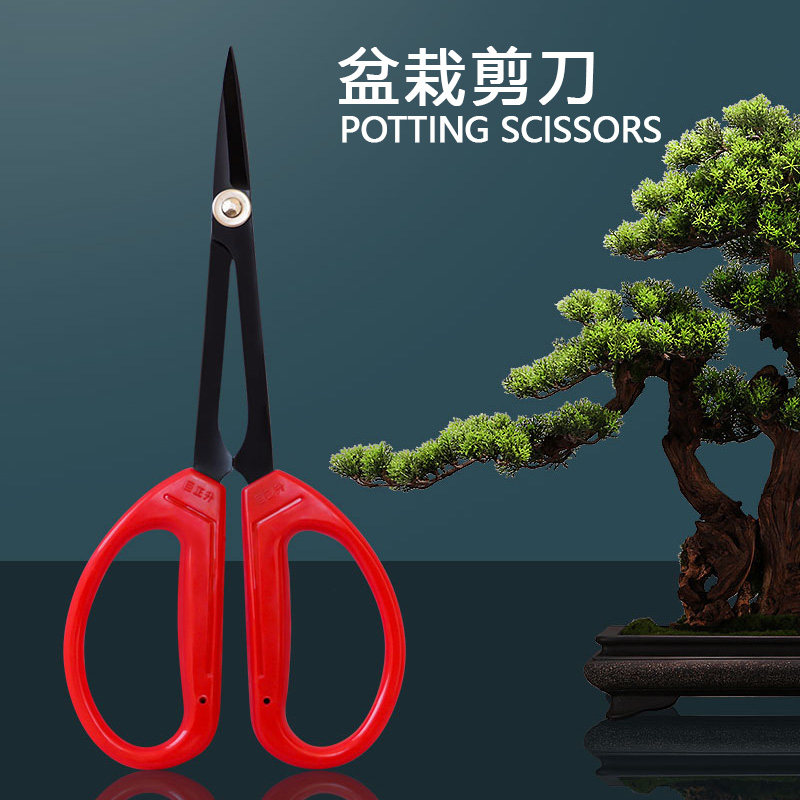 叶芽剪碳钢葡萄专用花椒蔬果橘子采摘盆景芽剪子修小枝芽盆栽剪刀