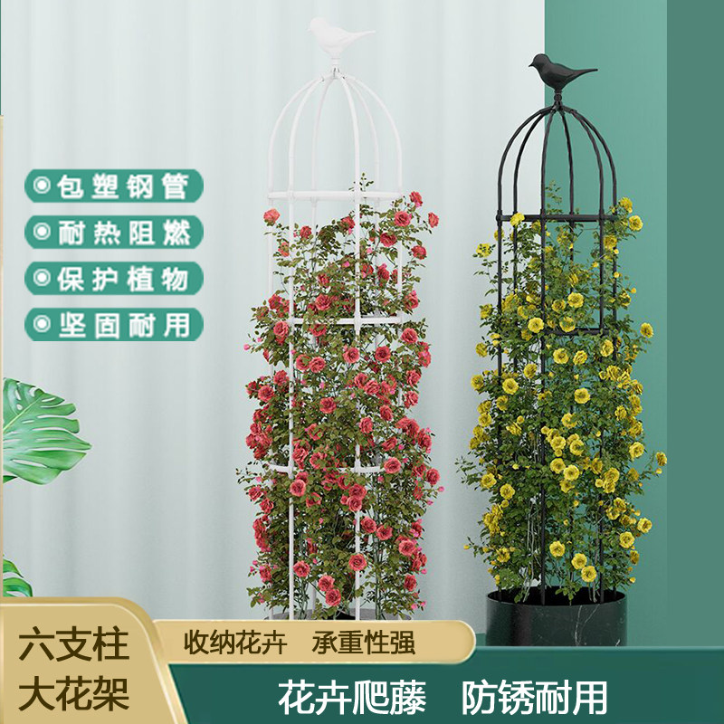 爬藤架藤架大号玫瑰花架铁线莲月季花支架植物花盆支撑攀爬架子