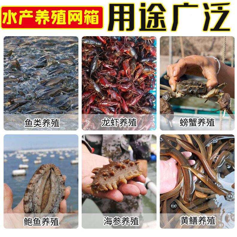 甄选水产养殖网 全新聚乙烯专用网箱拉网虾鱼苗海参鲍鱼龙虾无结