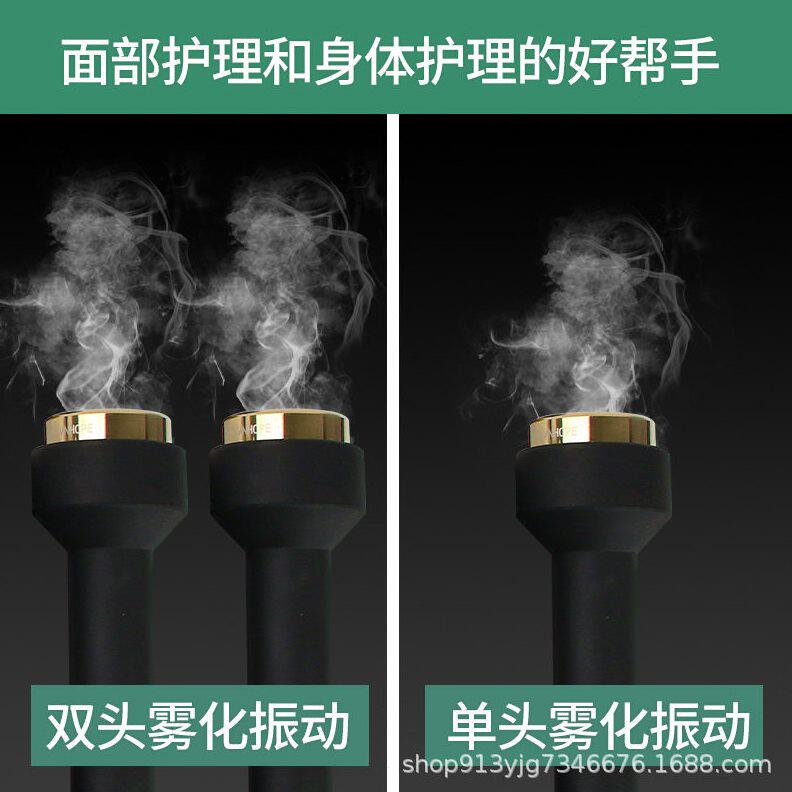 甄选尚赫同款超音波美容仪面部眼部仪美容院专用双头全身超声波导