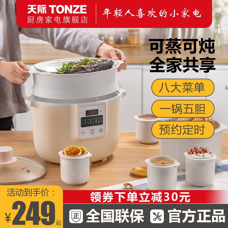 电炖炖五隔水炖锅家用全自动容粥煲汤盅陶瓷大煮量4L一锅锅胆