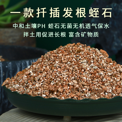 蛭石颗粒园艺扦插月季专用发根育苗多肉营养土养花至石乌龟蛋孵化