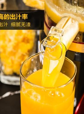 渣分离榨汁机家用全自动果蔬多功能原汁机小型炸水果汁机低速扎咋