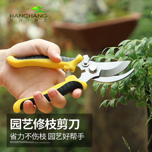 汉轩园林园艺艺剪修枝剪花树枝剪刀果树植物粗枝修花多功能花艺剪