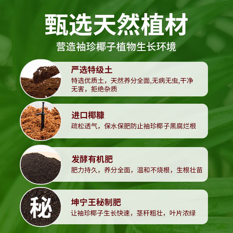 袖珍椰子专用土有机肥料营养土椰康泥炭腐植土家用盆栽种花养花土