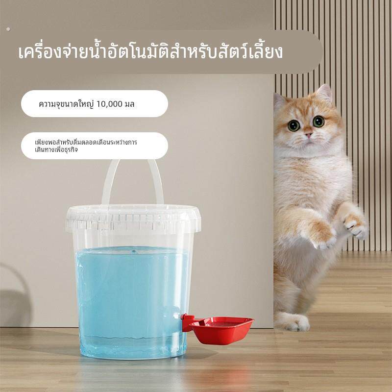 猫咪饮水机喂鸡饮水器喝水鸡鸭自动水壶自制饮水桶宠物喂水器神器