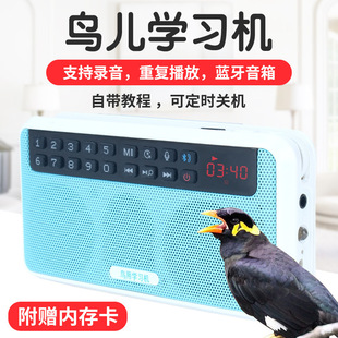 八哥鸟学说话机教鸟说话鹦鹉学说话鸟复读机鸟用品用具鹩哥学语机