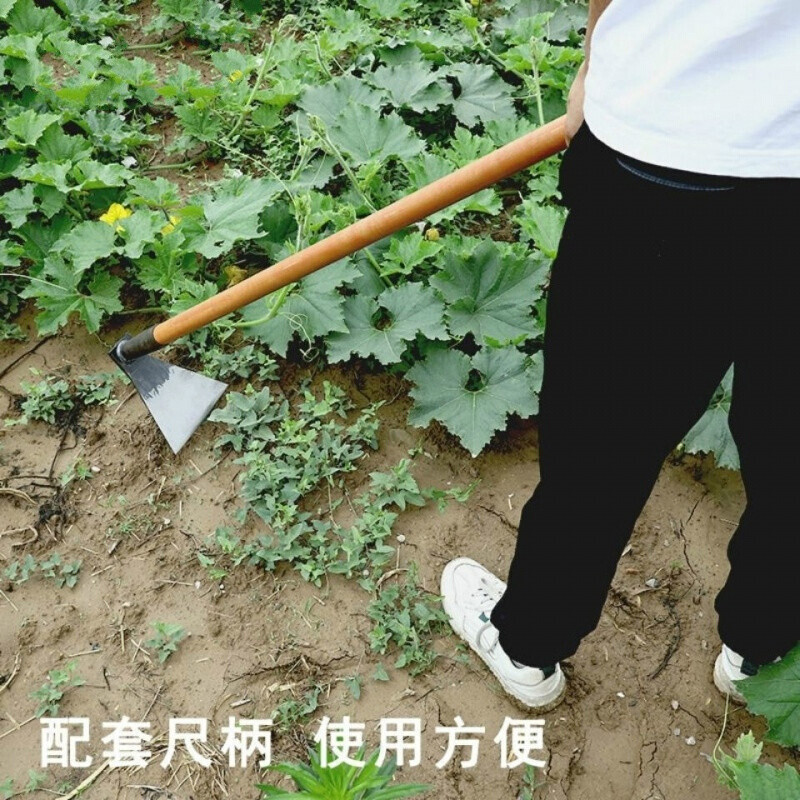 锄头种菜家用锰钢带把除草专用锄草神器挖土地多功能农用老式挖笋